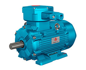 粉尘防爆变频YFBBP3三相异步电动机 粉尘防爆变频YFBBP3三相异步电动机