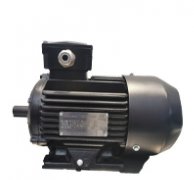 WE3超高效率三相异步电机 WE3超高效率三相异步电机