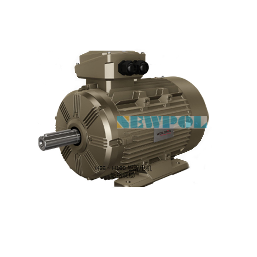 WEPM永磁电机 WEPM永磁电机